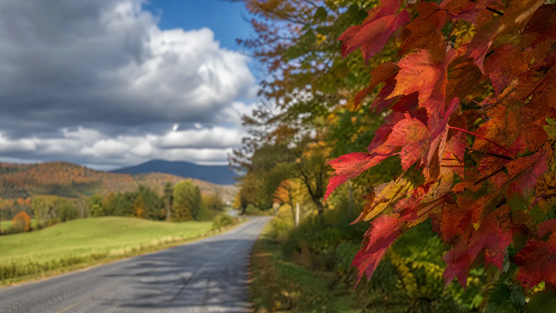 A paved two-lane road curves through a rural landscape with a green field on the left and distant hills under a cloudy sky, framed on the right by a close-up branch of red and orange maple leaves.