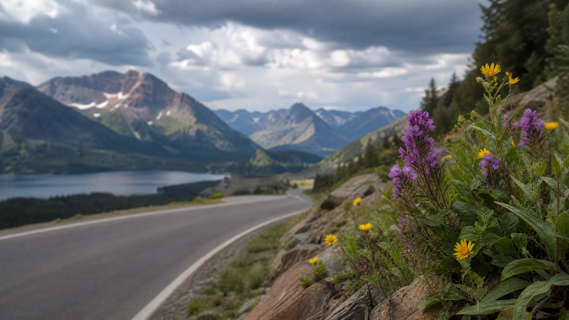 A paved road curves along a hillside above a lake with mountains and cloudy sky in the background, with purple and yellow wildflowers growing on rocks in the foreground.